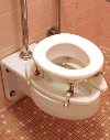 Specialized Toilets